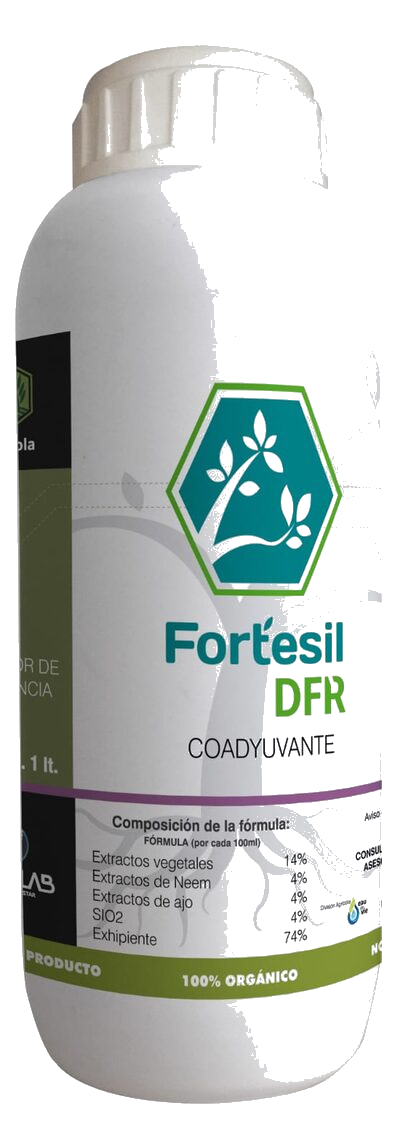 FT Fortesil DFR