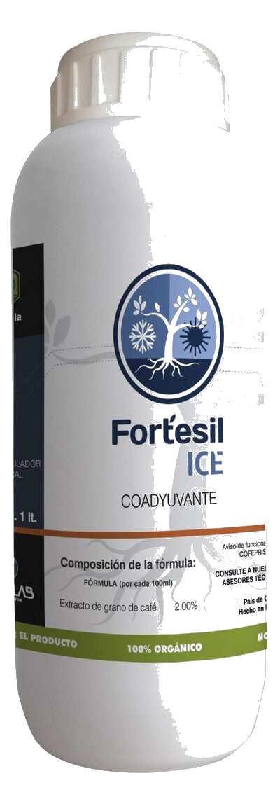 FT Fortesil ICE